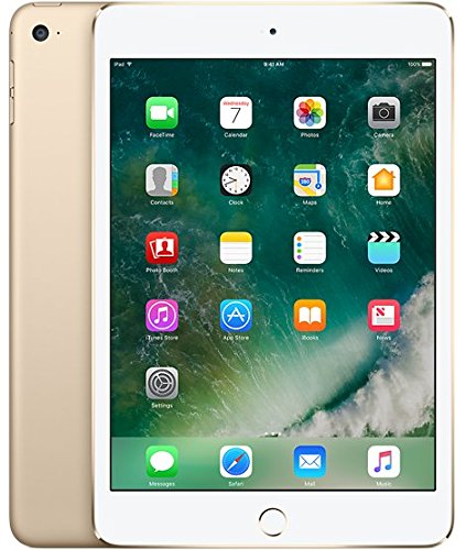 Sell Old iPad mini 4 (Wi-Fi Only)